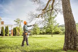 New Hope, MS Tree Care Services Company